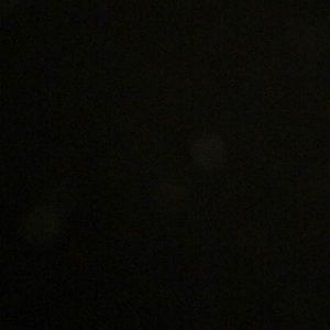 Meet your Posher, Whitney